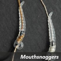 Mouthsnagger Larvae2